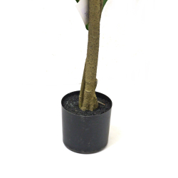 Drzewko dekoracyjne Figowiec 120cm